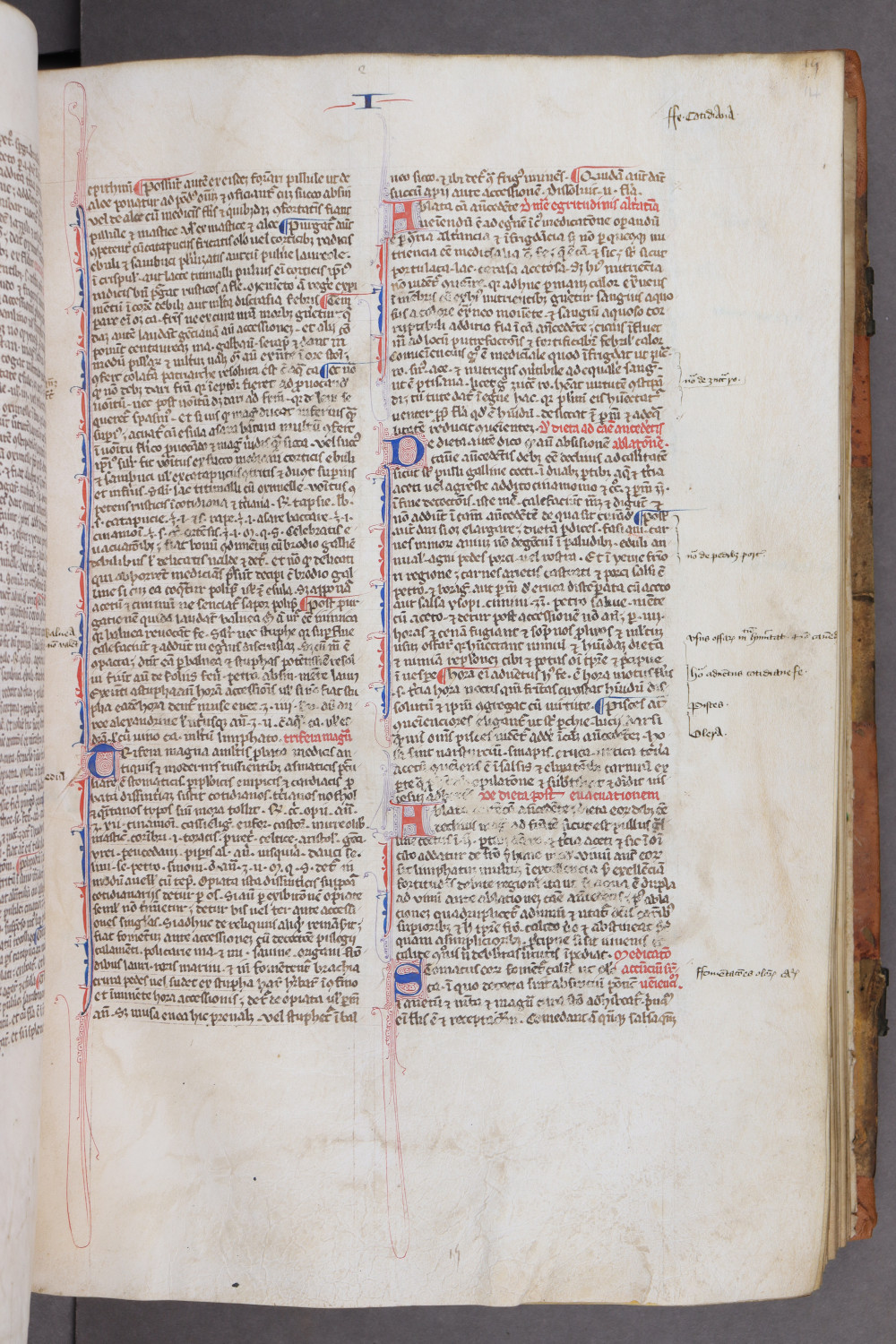 Folio 14 recto